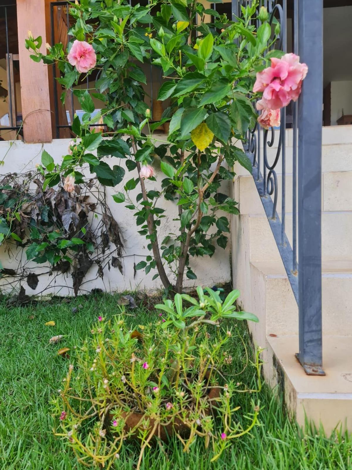 Casa Bonita - Aconchegante Para Se Divertir E Descansar Pirenópolis Exterior foto